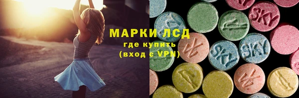 крисы Коряжма