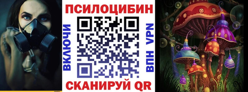 Купить закладки  Билибино  Галлюциногенные грибы Magic Shrooms 